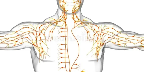 Naradaji-serv-Beioenergiagiromagnetica-activaelsistemalinfatico-scd