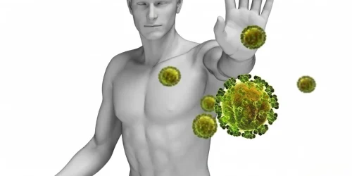 Naradaji-serv-Beioenergiagiromagnetica-fortalecesistemainmunologico-scd